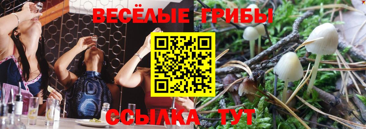 Псилоцибиновые грибы Magic Shrooms  Вход с VPN  Саратов 